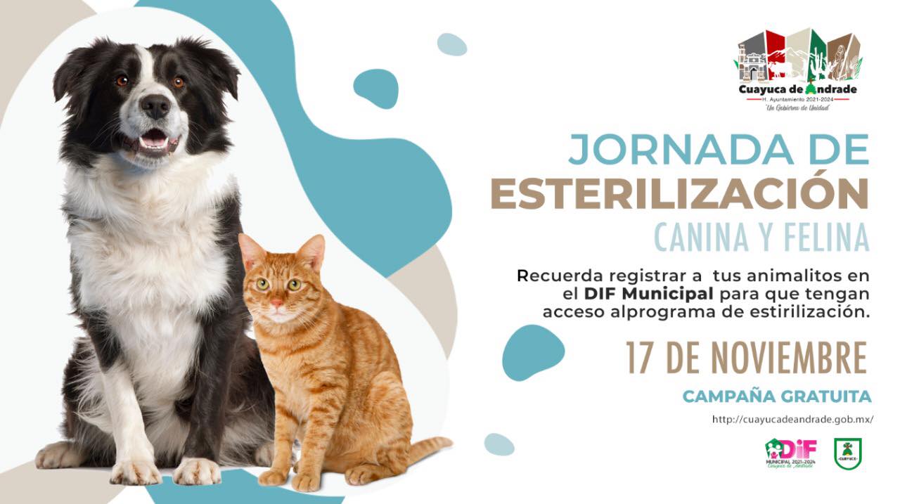 Campaña de Esterilización Canina-Felina