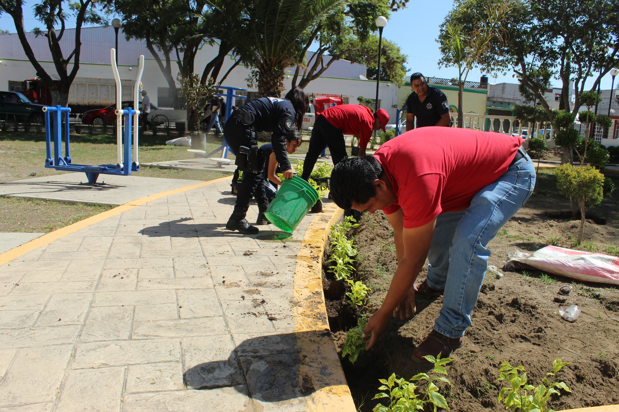 Mejorando Areas Verdes del Parque Municipal