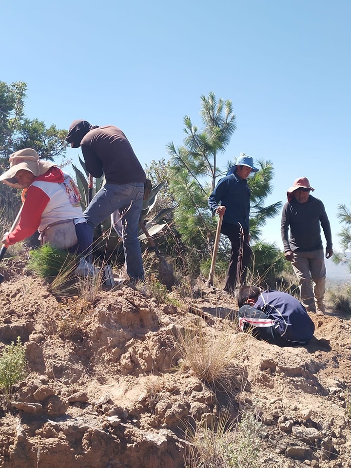 Primer día de reforestación en Santiago Tenango