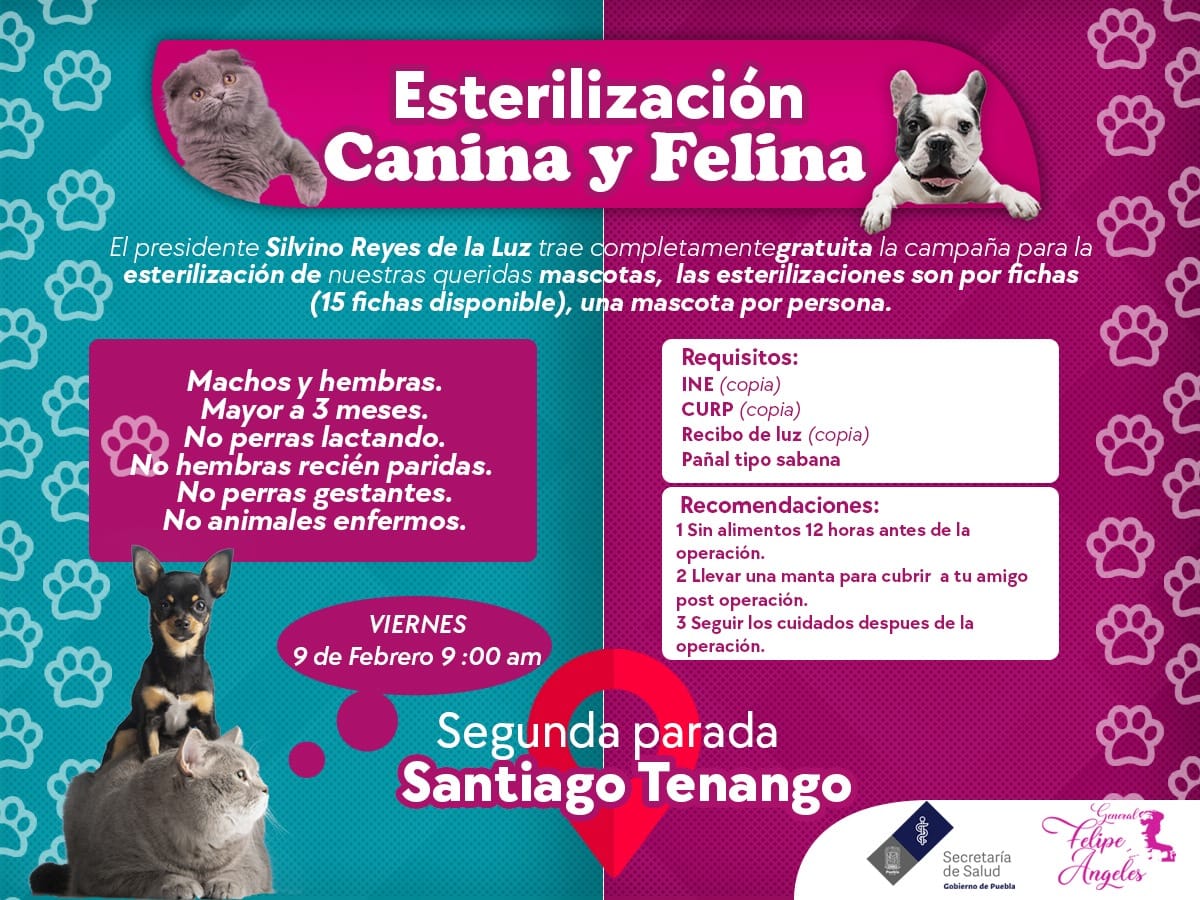 Noticias del Ayuntamiento