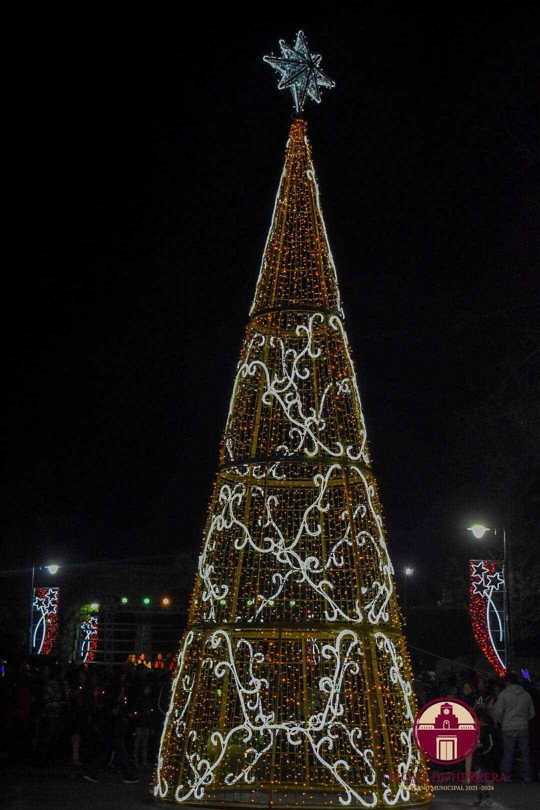 Fiestas Decembrinas