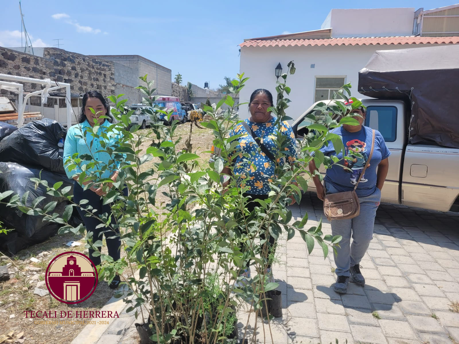 Imagen Noticias del Ayuntamiento