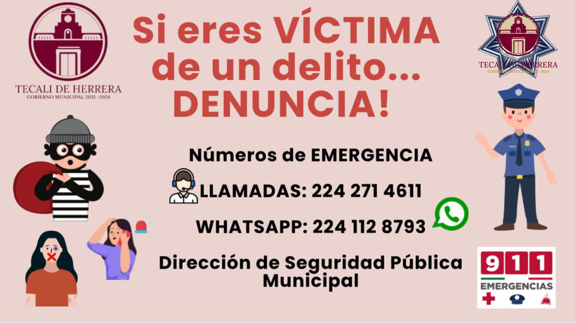 Imagen Noticias del Ayuntamiento