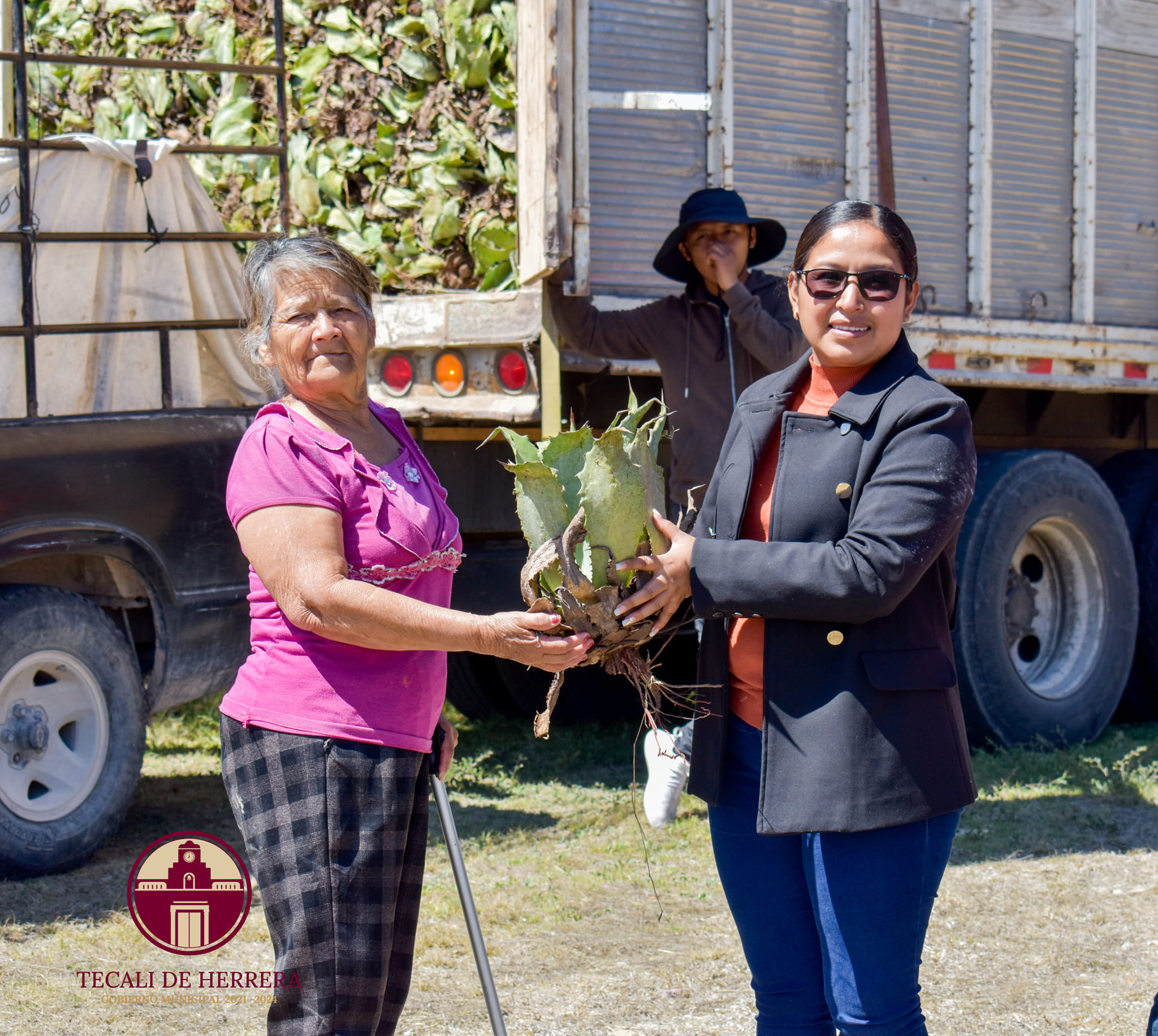Imagen Noticias del Ayuntamiento