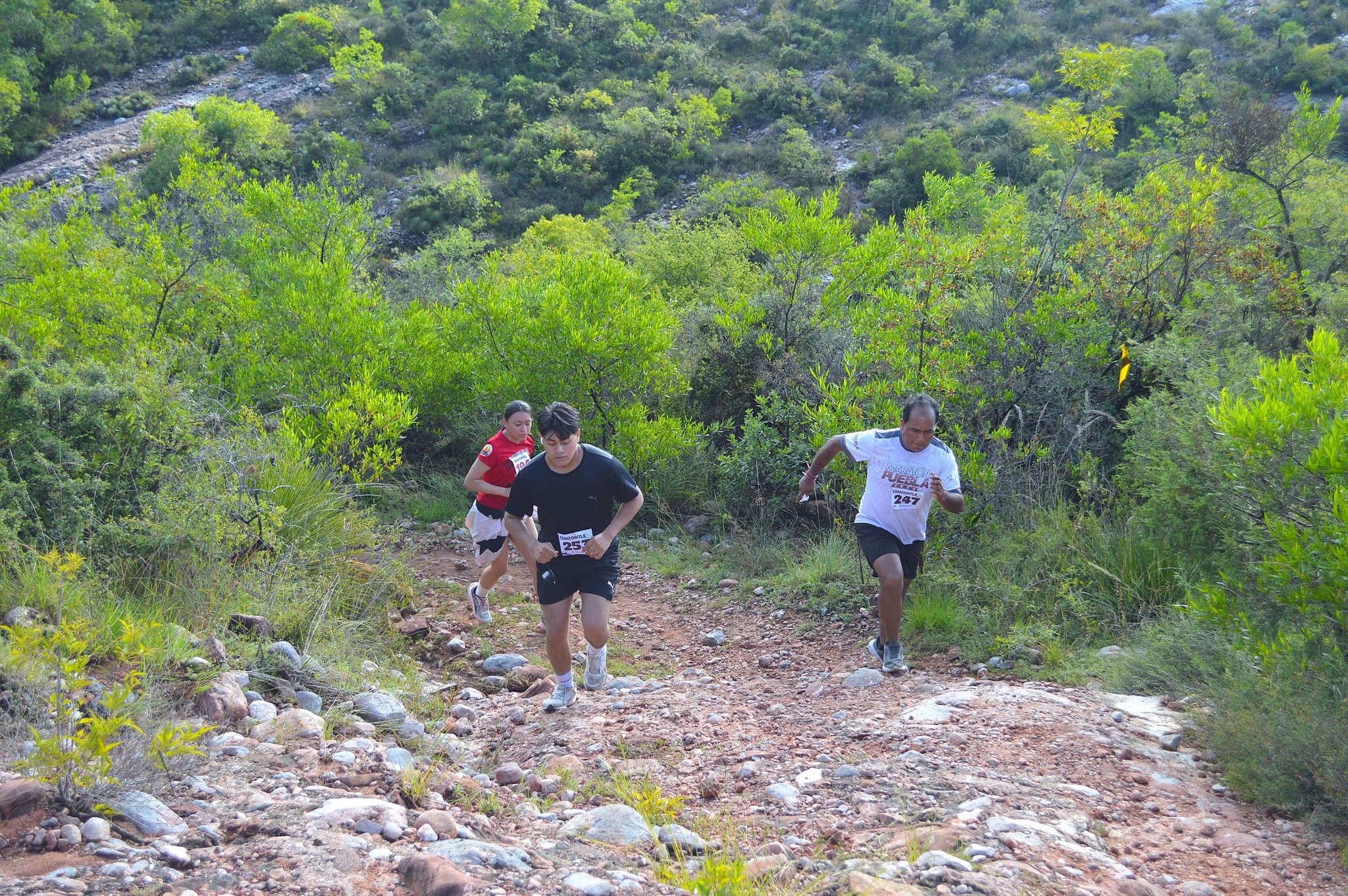 Noticias del Ayuntamiento