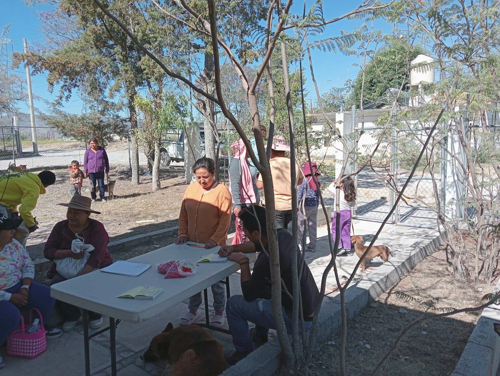 Noticias del Ayuntamiento