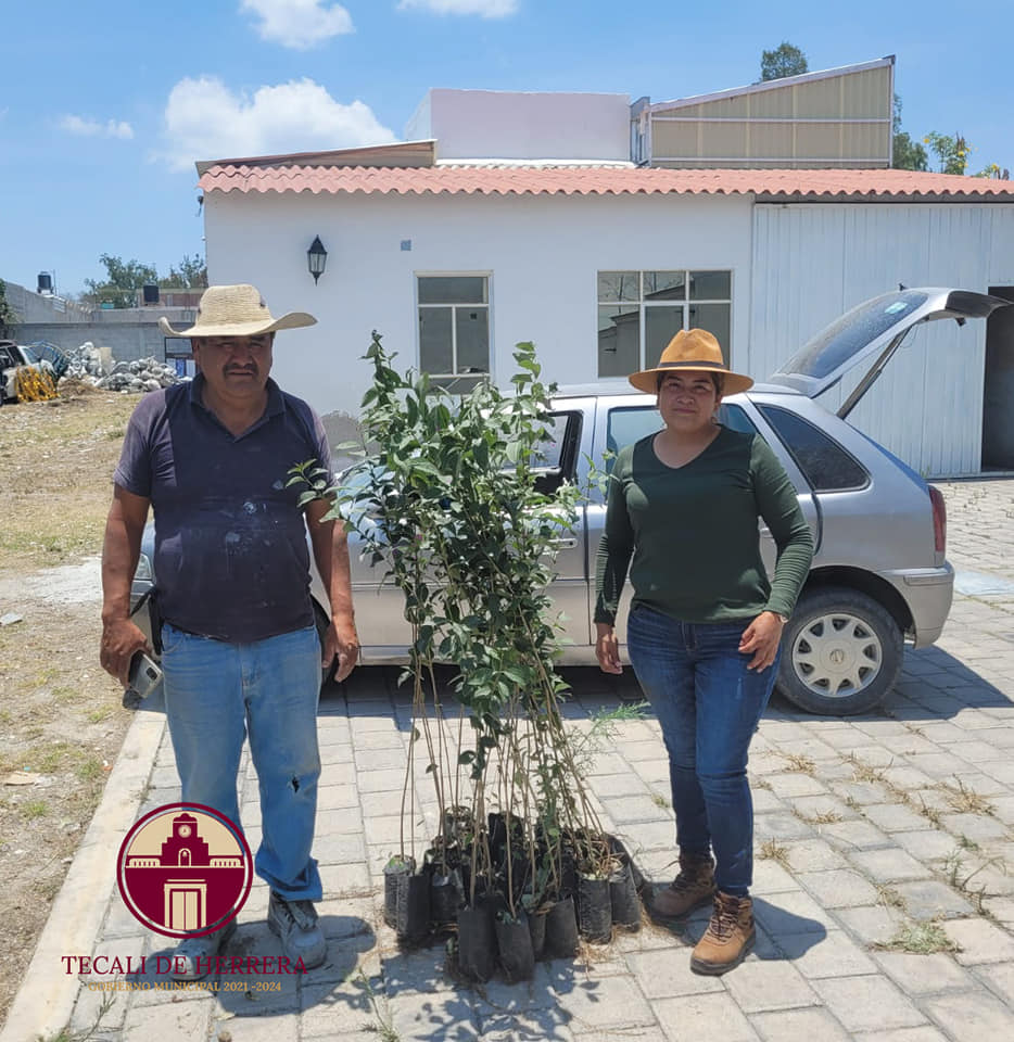 Imagen Noticias del Ayuntamiento