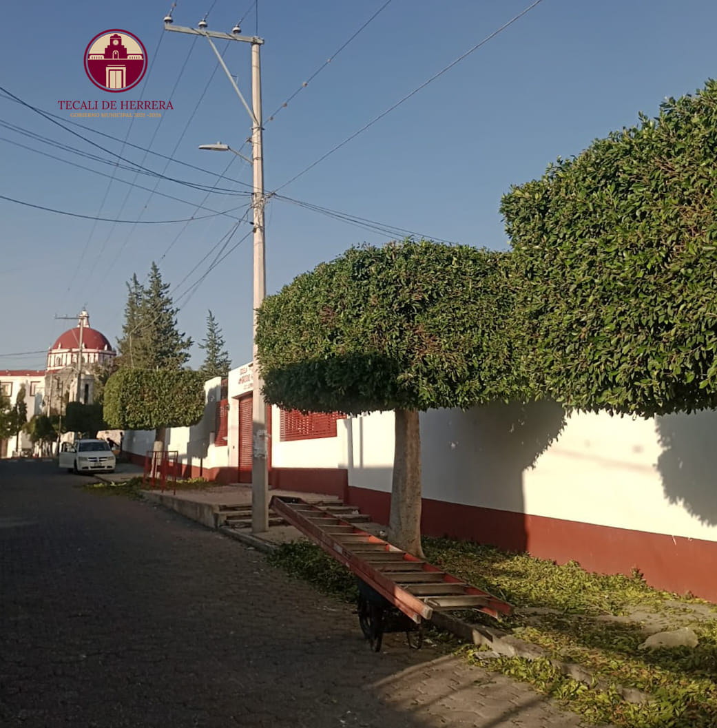 Imagen Noticias del Ayuntamiento