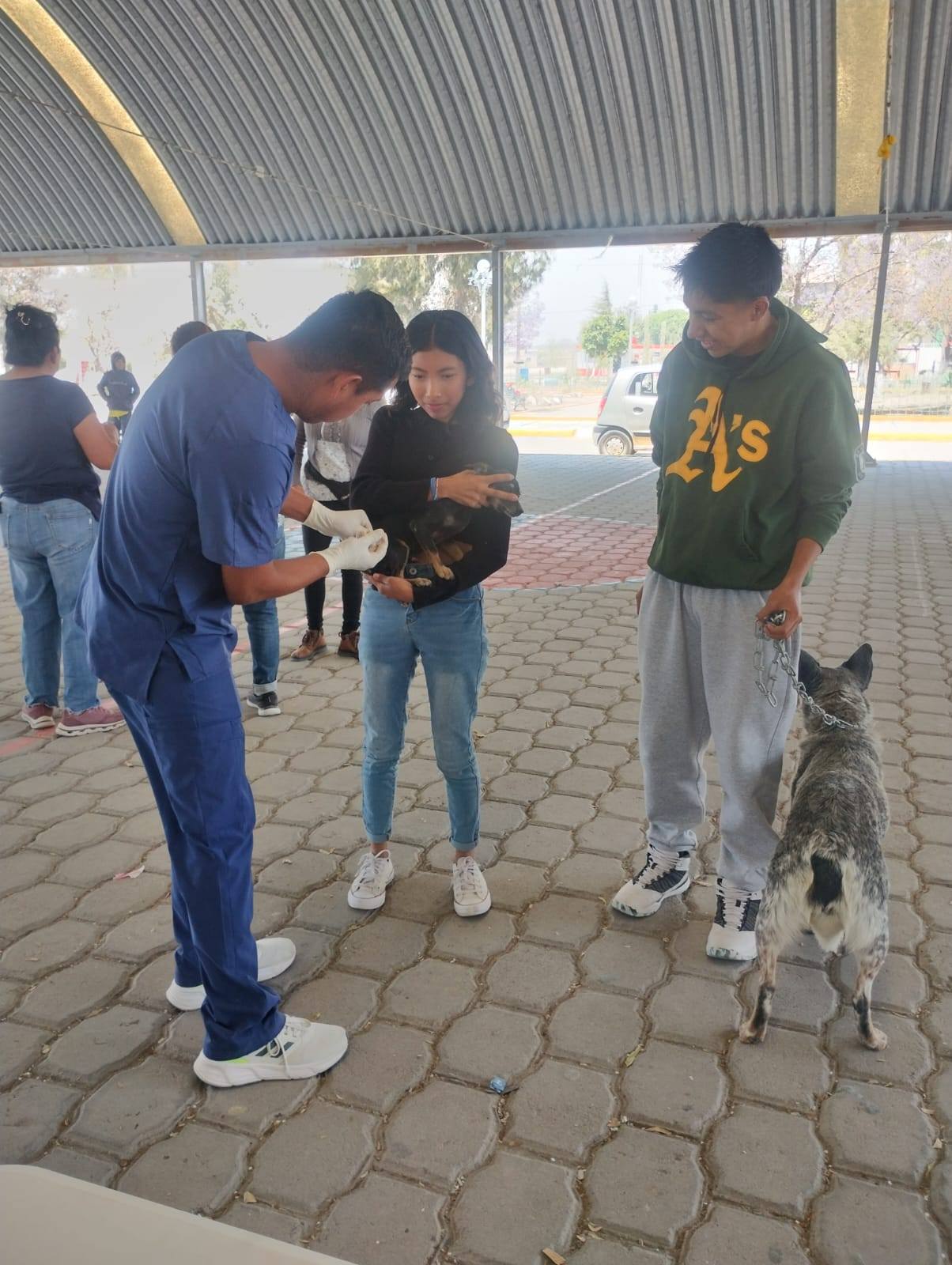 Imagen Noticias del Ayuntamiento