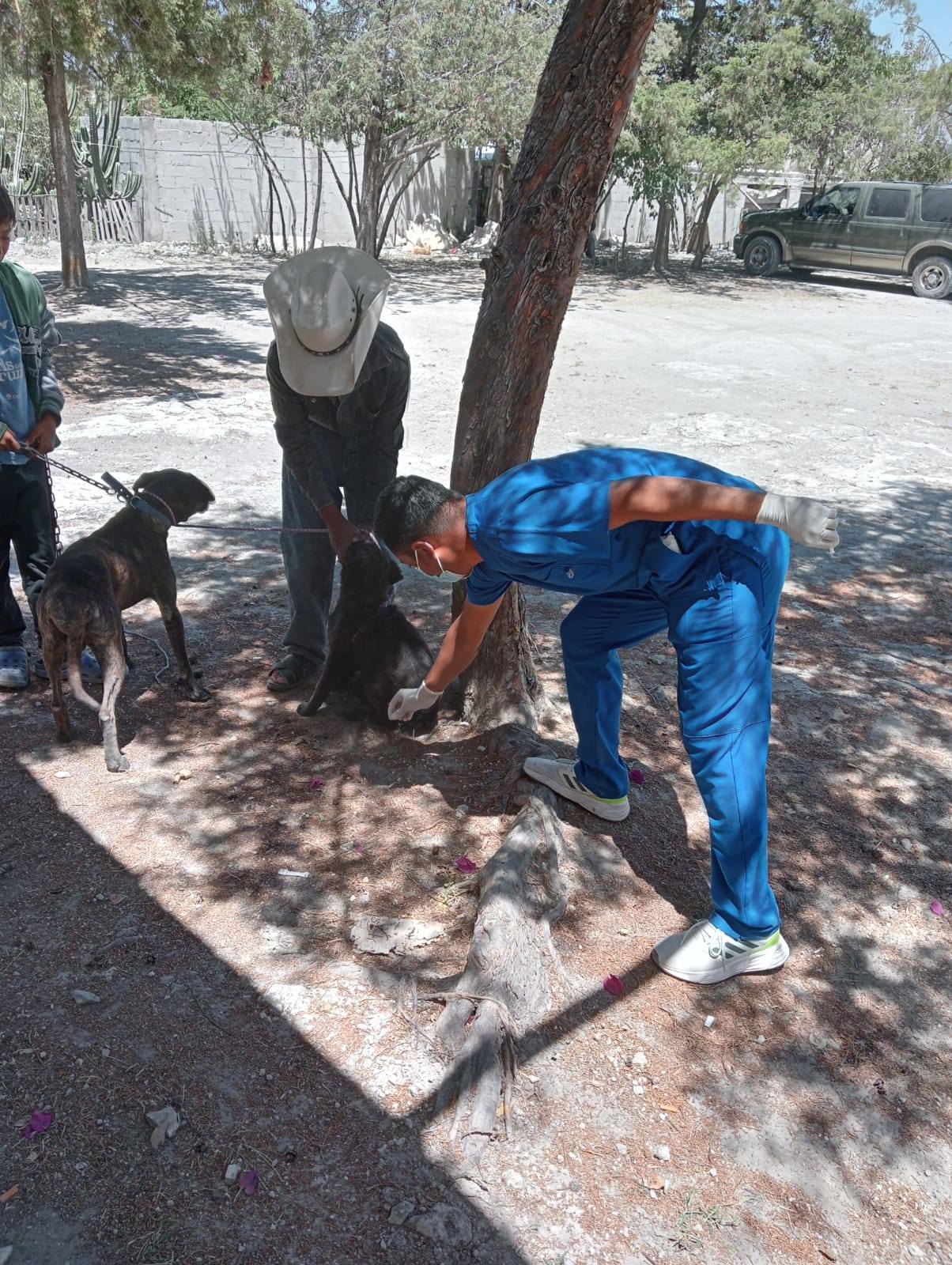 Imagen Noticias del Ayuntamiento