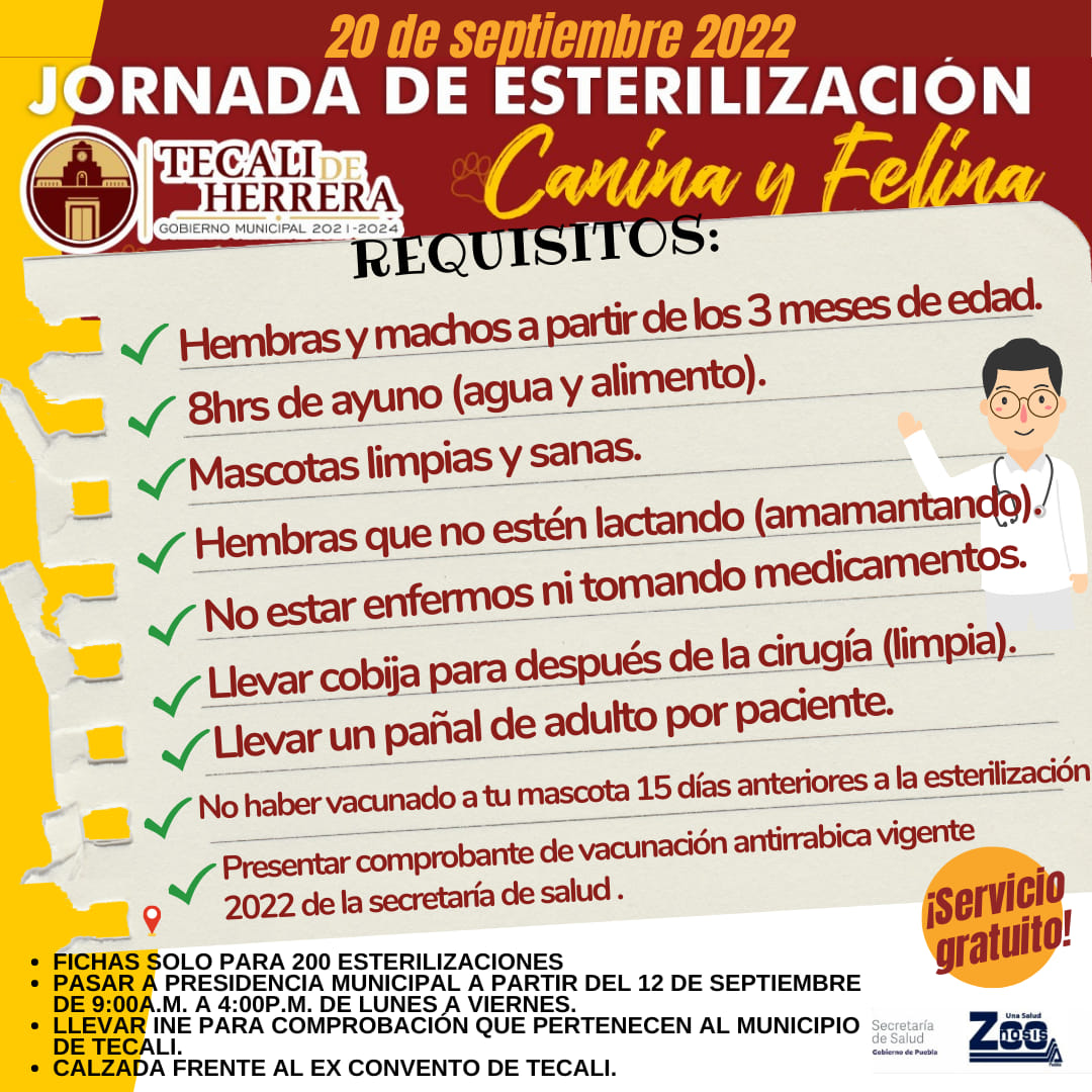 Imagen Noticias del Ayuntamiento