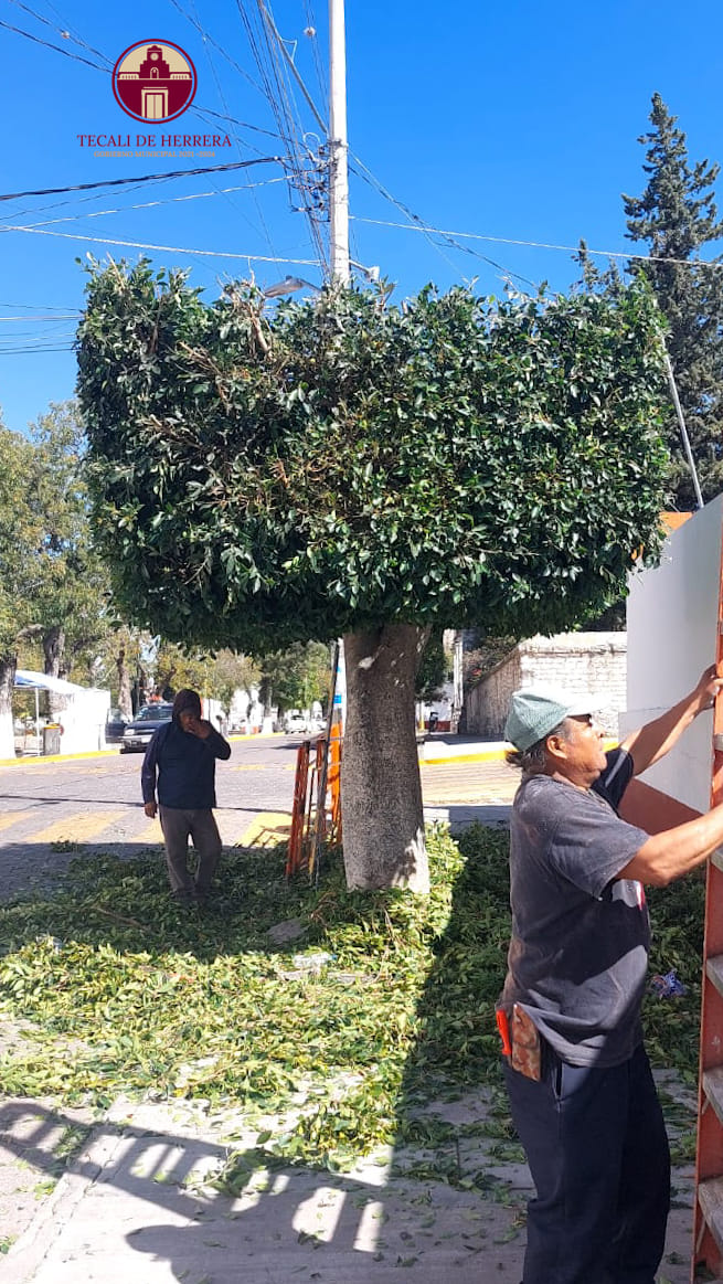 Imagen Noticias del Ayuntamiento