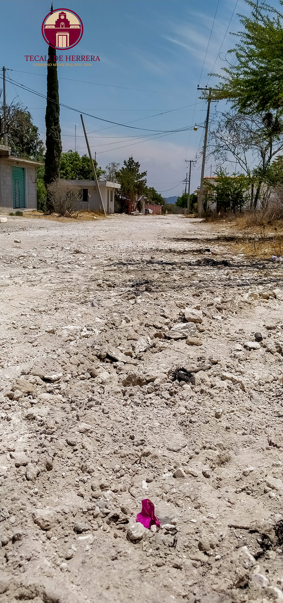 Imagen Noticias del Ayuntamiento