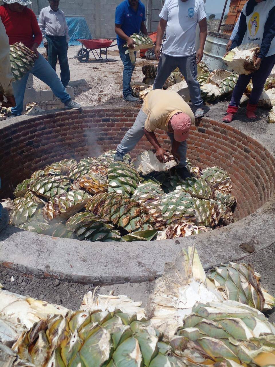 Noticias del Ayuntamiento