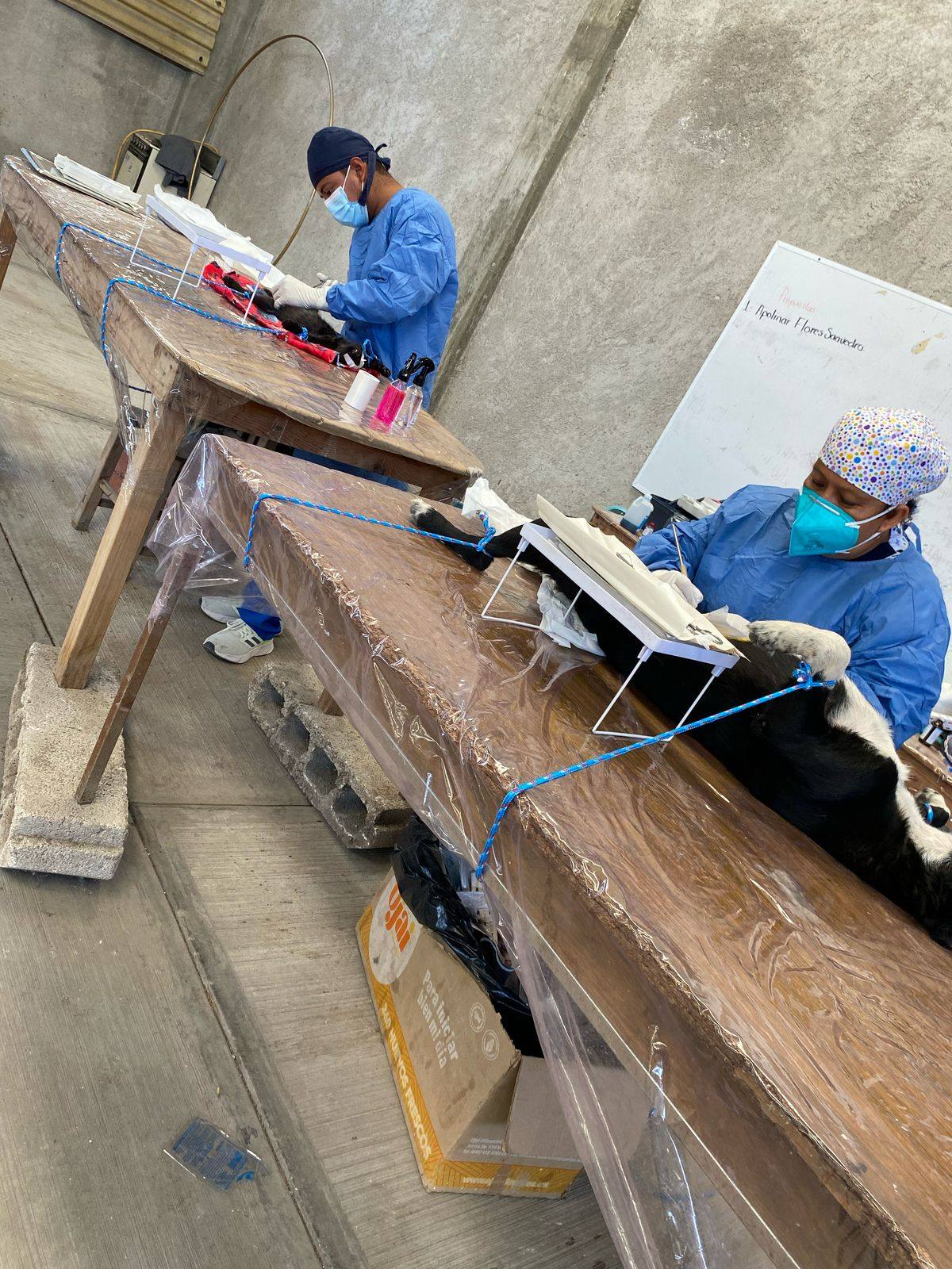 Noticias del Ayuntamiento