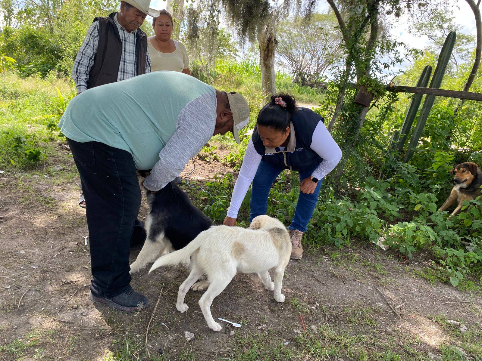 Noticias del Ayuntamiento