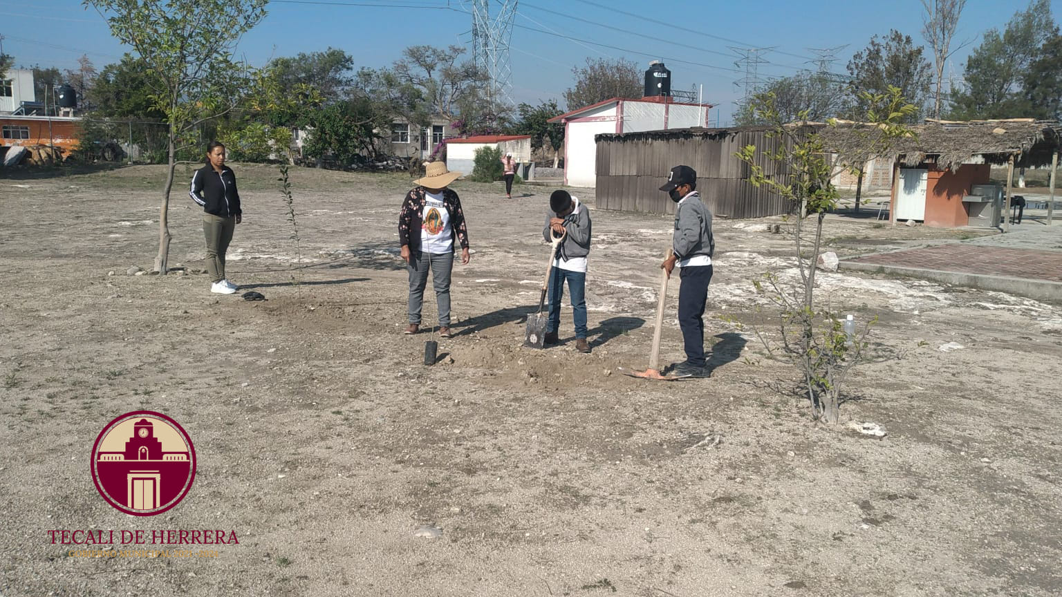 Imagen Noticias del Ayuntamiento