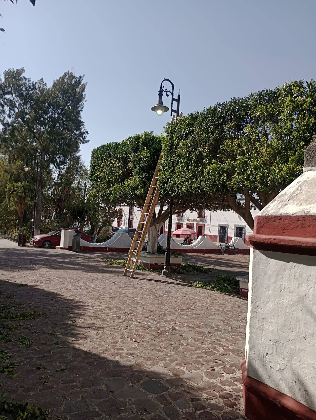 Imagen Noticias del Ayuntamiento