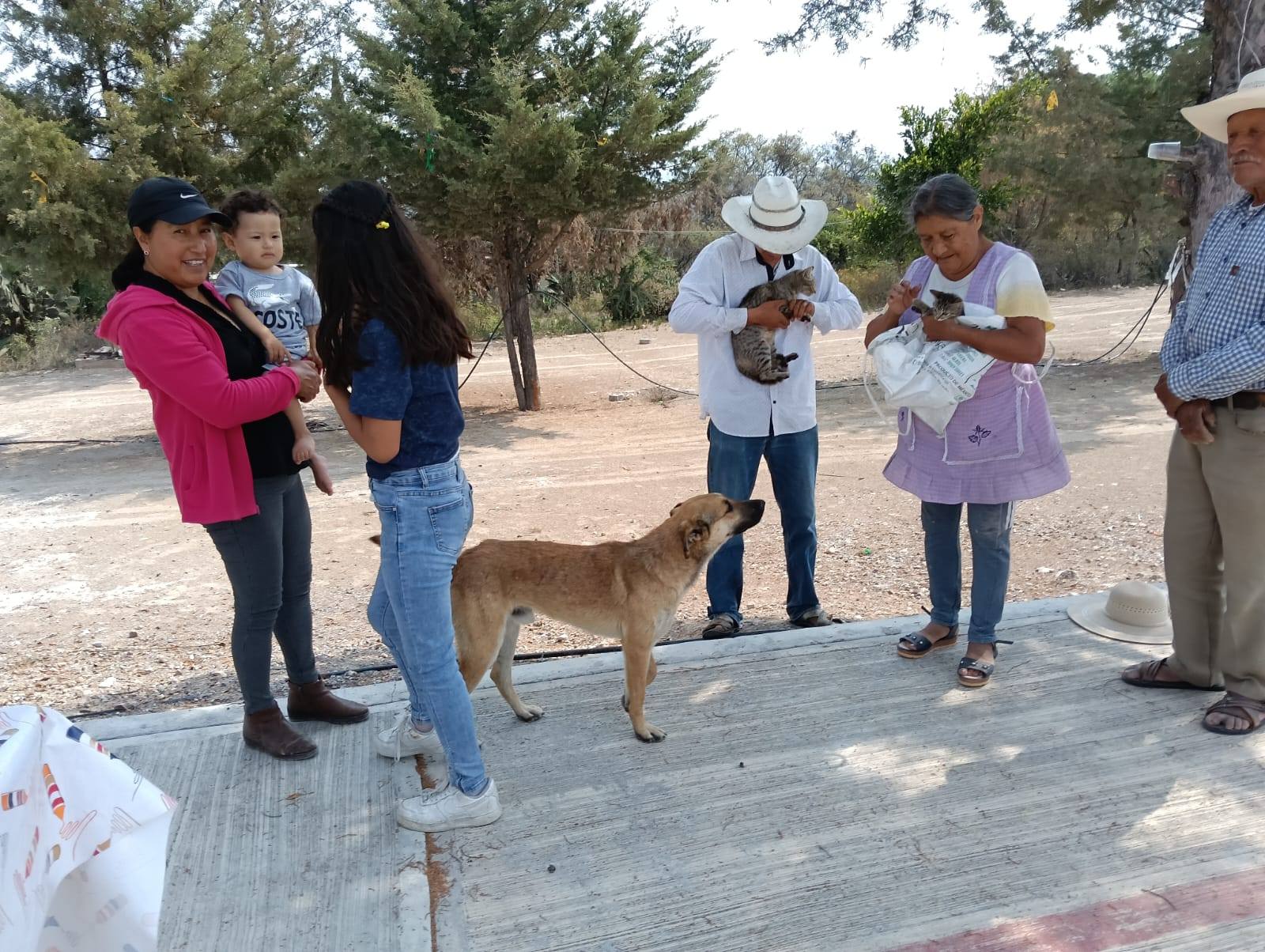 Imagen Noticias del Ayuntamiento