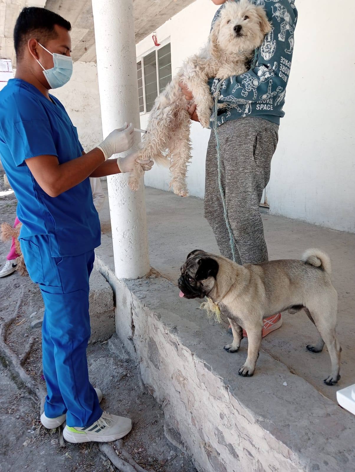 Imagen Noticias del Ayuntamiento