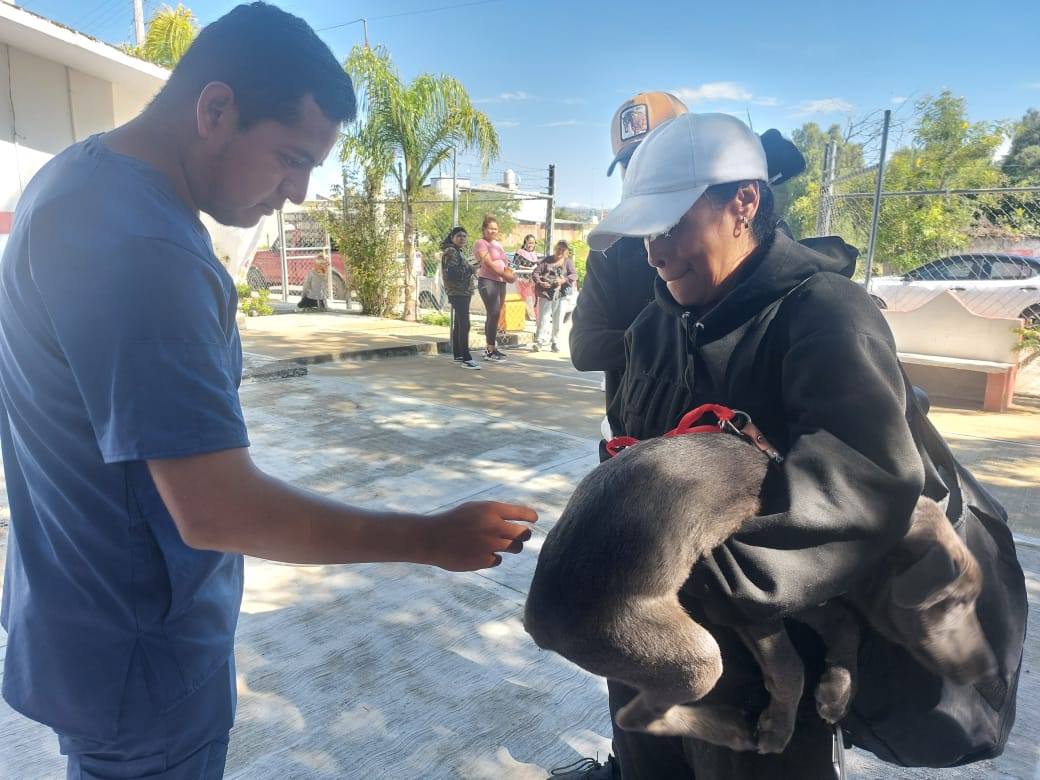 Noticias del Ayuntamiento