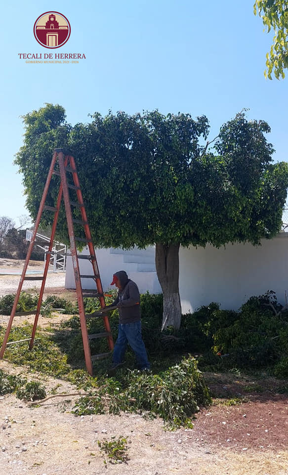 Imagen Noticias del Ayuntamiento