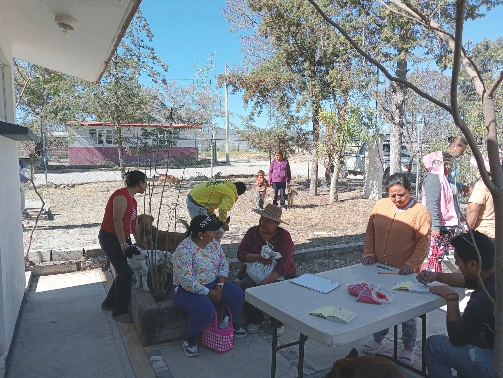 Imagen Noticias del Ayuntamiento