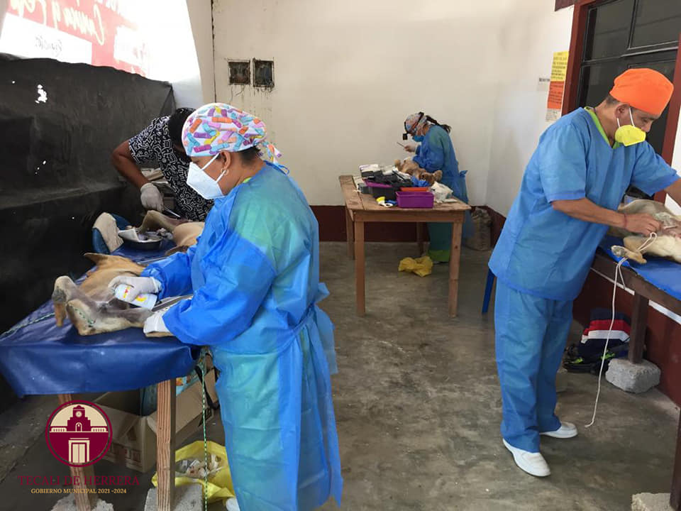 Imagen Noticias del Ayuntamiento