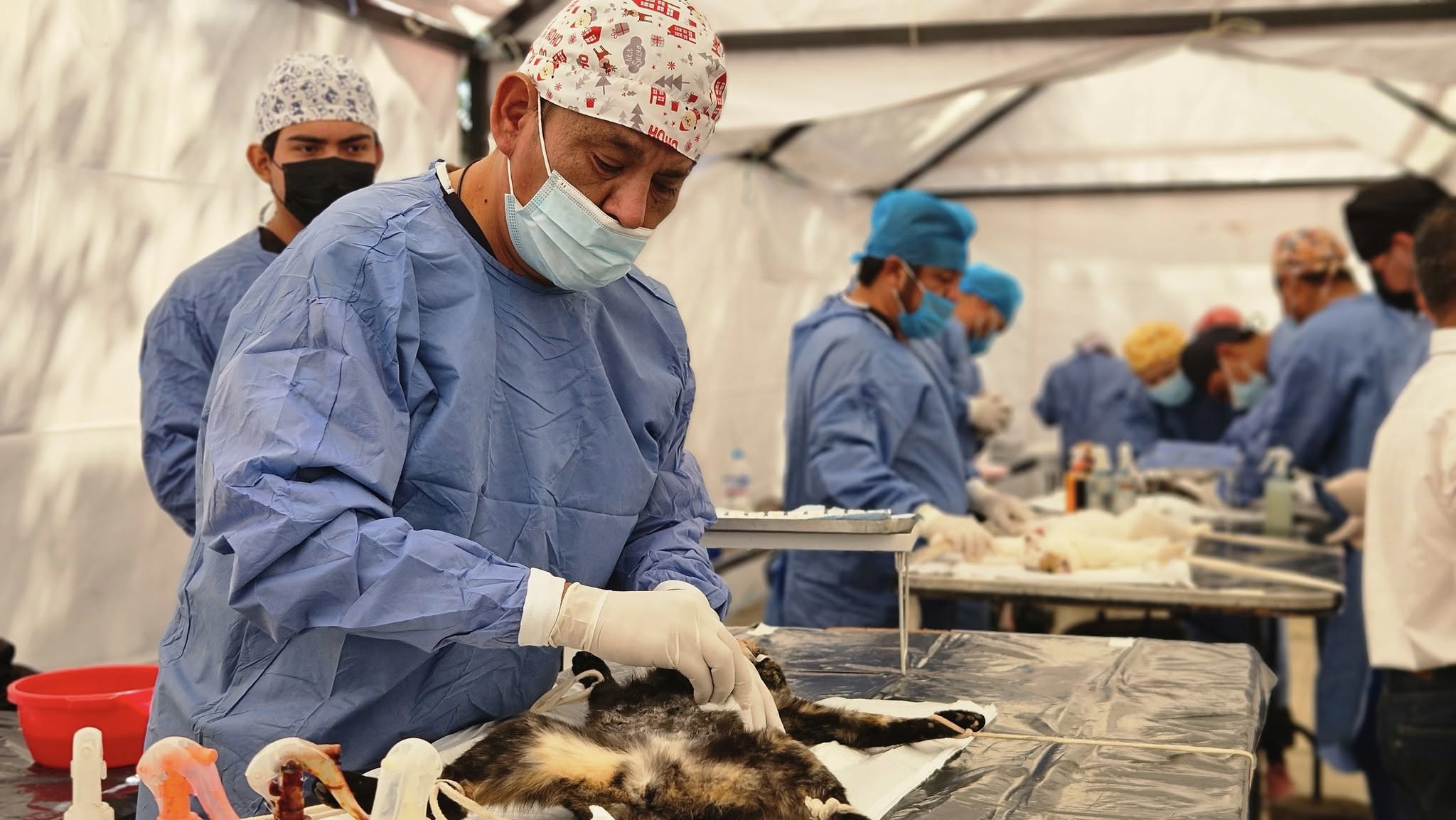 Noticias del Ayuntamiento