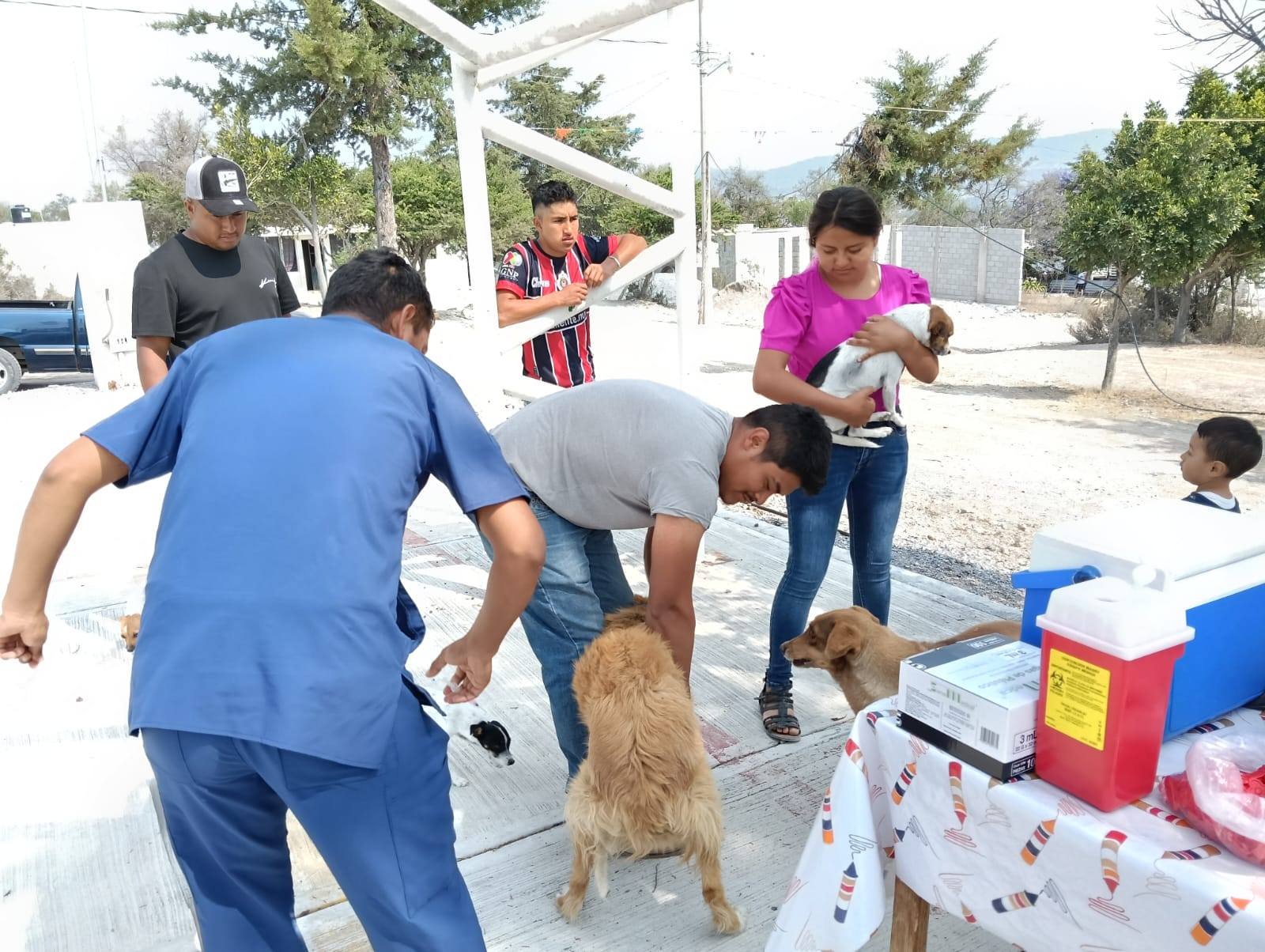 Imagen Noticias del Ayuntamiento