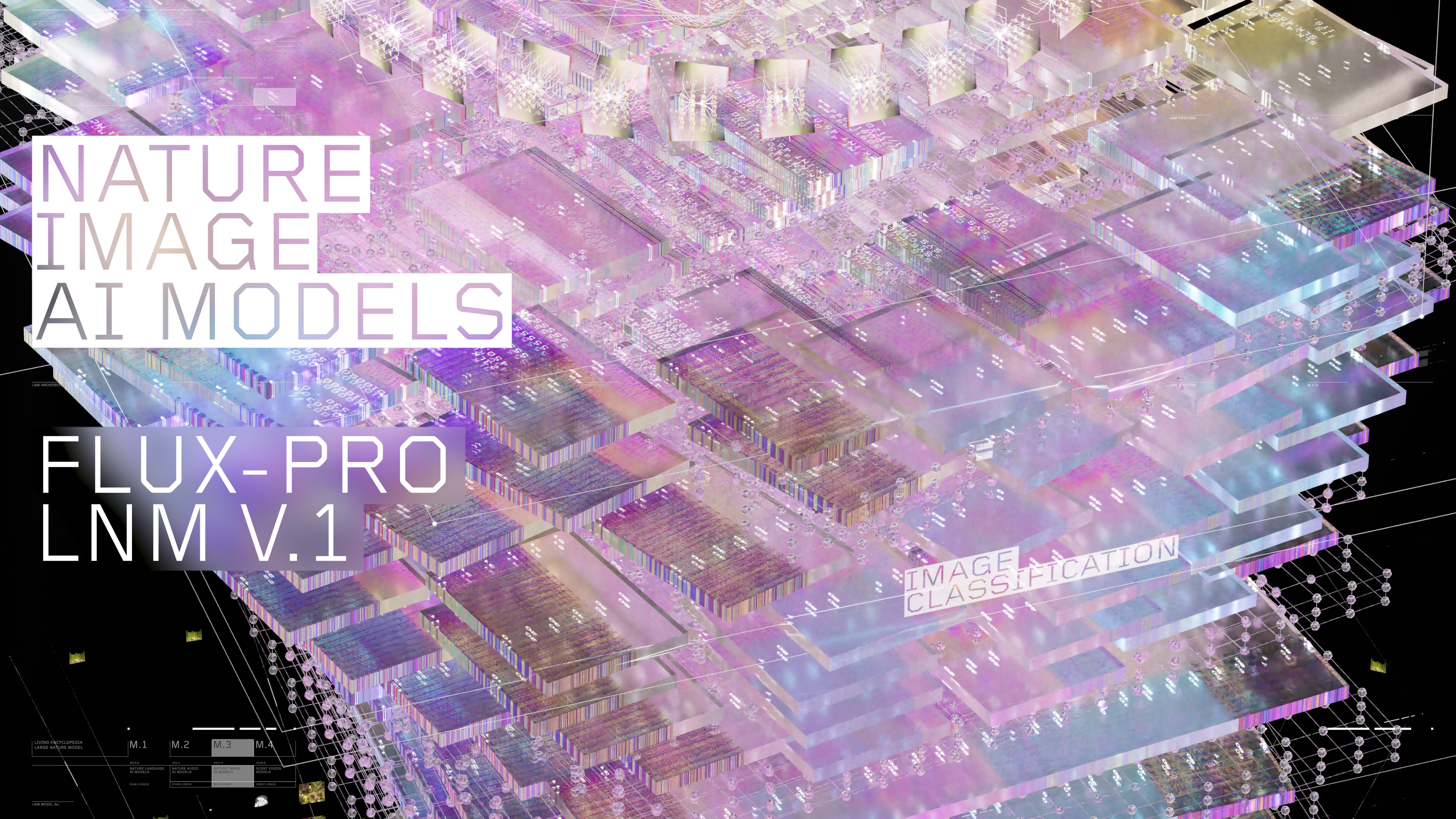 FLUX LNM IMAGE MODEL Architecture