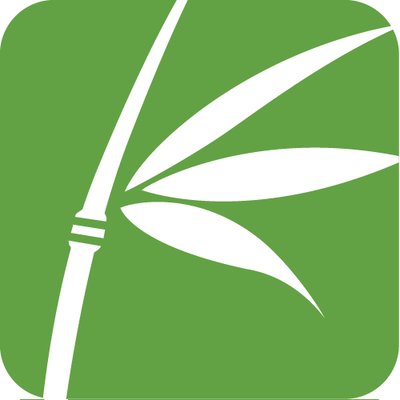 BASIS Technology