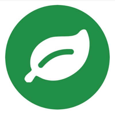 Rainforest QA