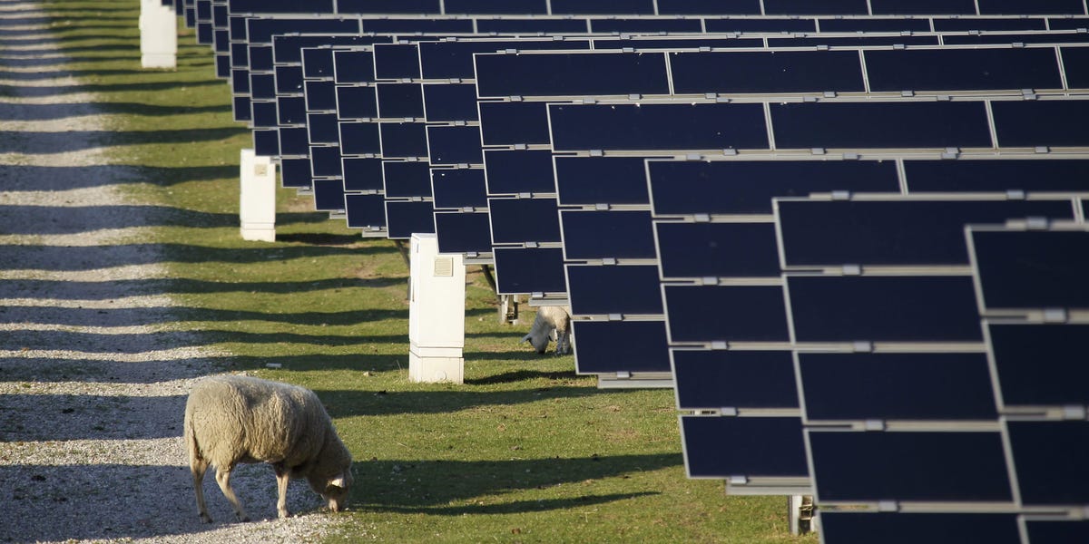 Germany Implements Measures to Address Solar Farm Subsidies Amid Negative Electricity Prices