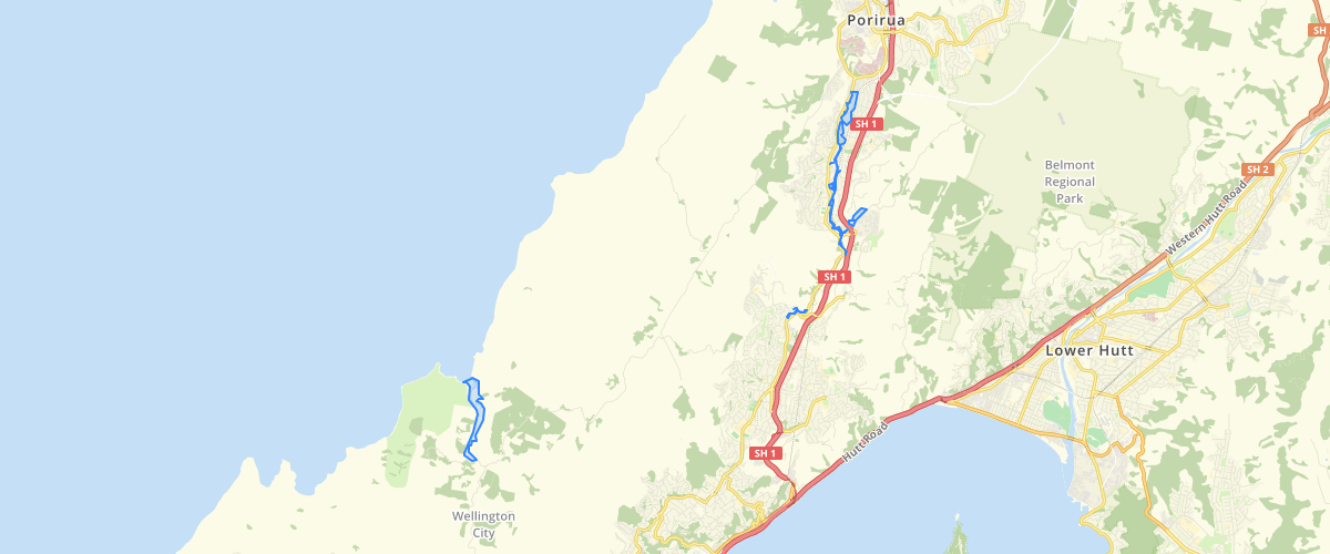 Wellington Flooding Hazard Area 100 Year