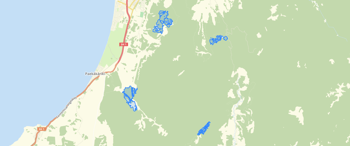 Wellington Regional Council Metro Plantation Forests