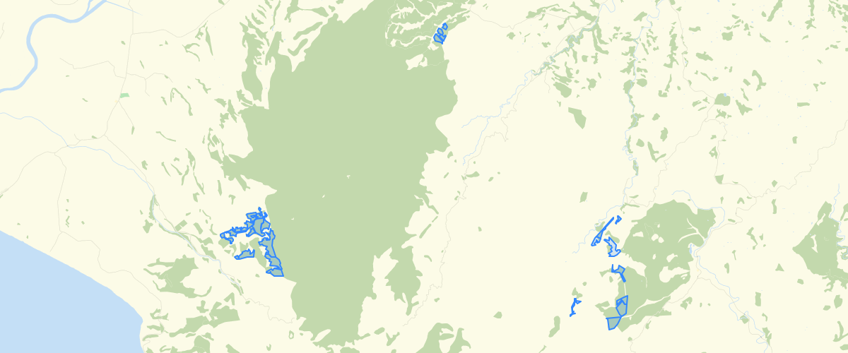 Wellington Regional Council Wairarapa Plantation Forests