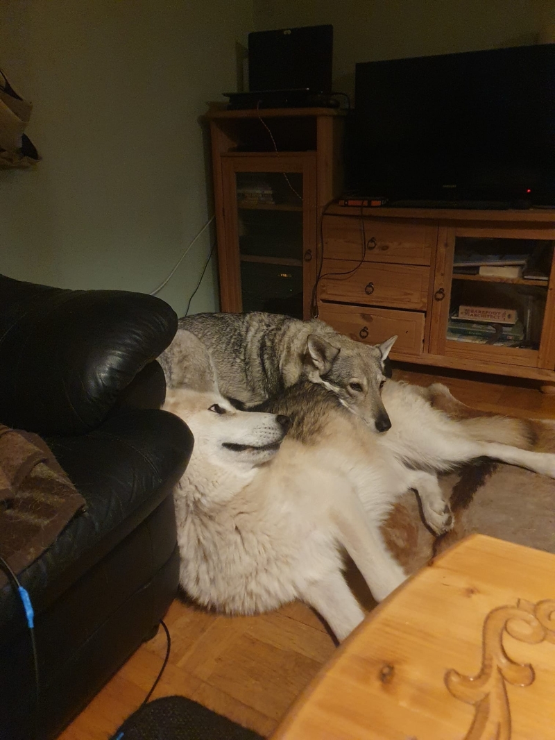 Photo 2304