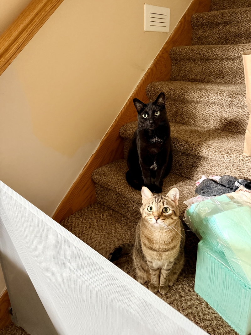 Photo 2076