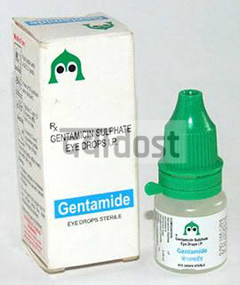 Gentamide 0.3% Eye Drop