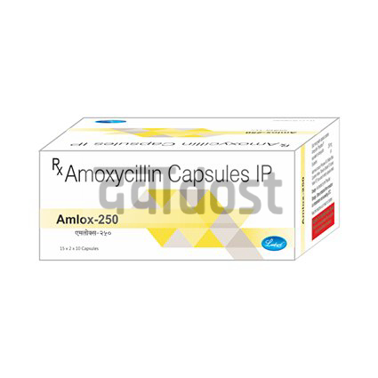 Amlox 250 mg/250 mg Capsule