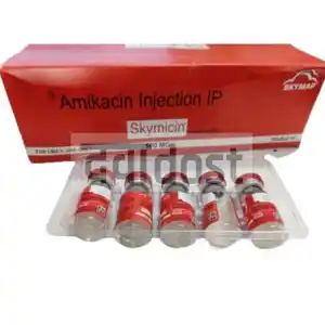 Skymicin 500mg Injection 2ml