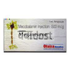 Meganeuron Injection