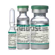 Tetanus Toxoid Adsorbed 5LF Injection 0.5ml