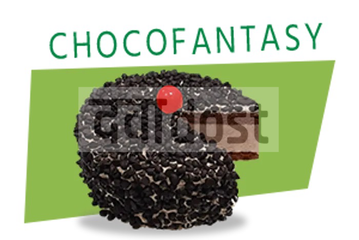 Dairy Day Choco Fantasy Ice Cream Cake 500ml