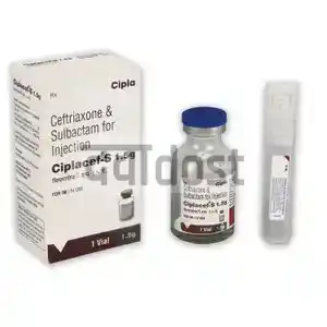 Ciplacef 500mg Injection 1s