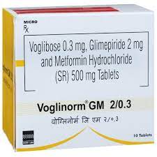 Voglinorm GM 2mg/0.3mg Tablet SR 10s