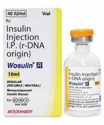 Wosulin-R 40IU/ml Injection