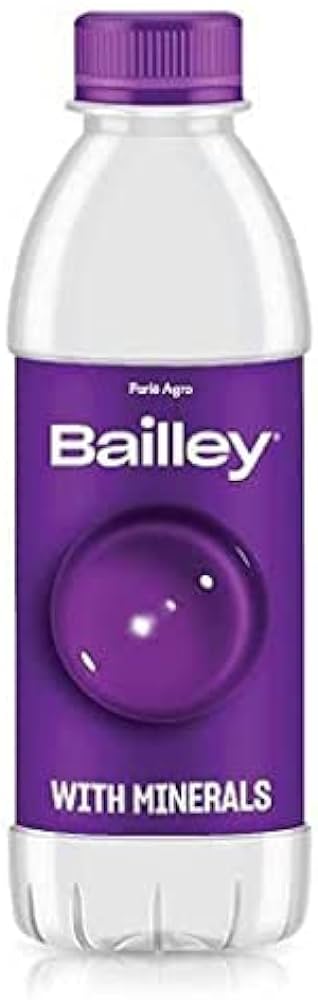 Bailley Packaged Drinking Water 250 ML