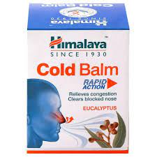 Himalaya Wellness Cold Balm - 45 gm